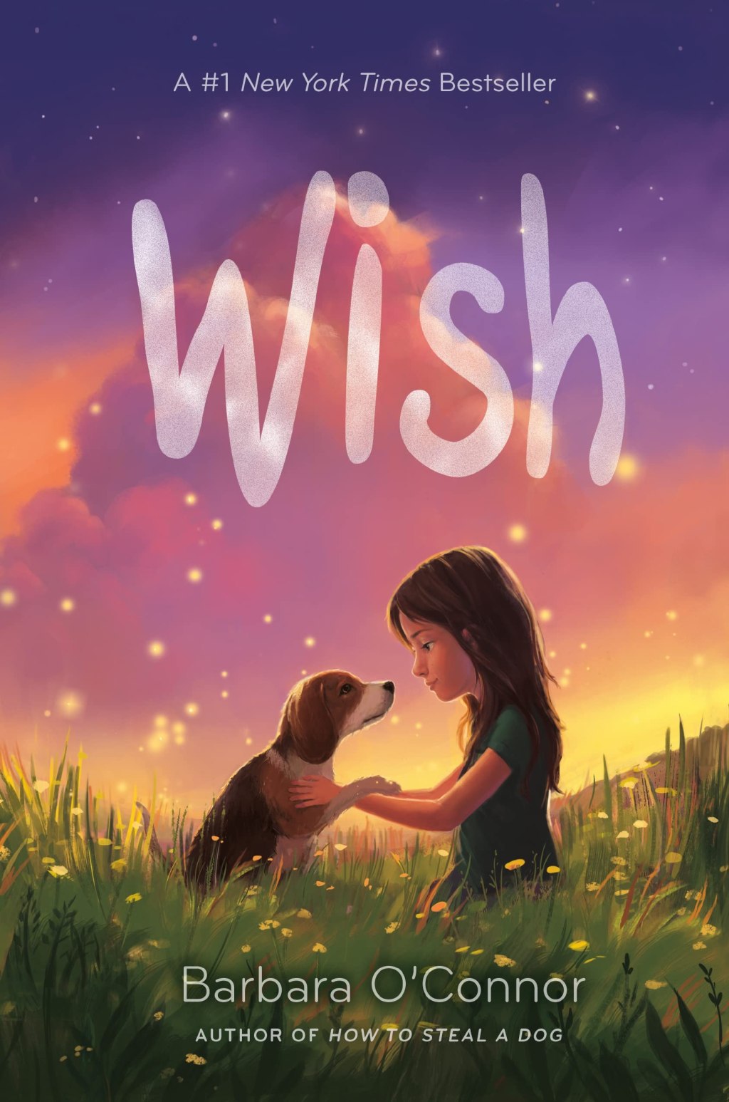 Wish (Spoiler Free)